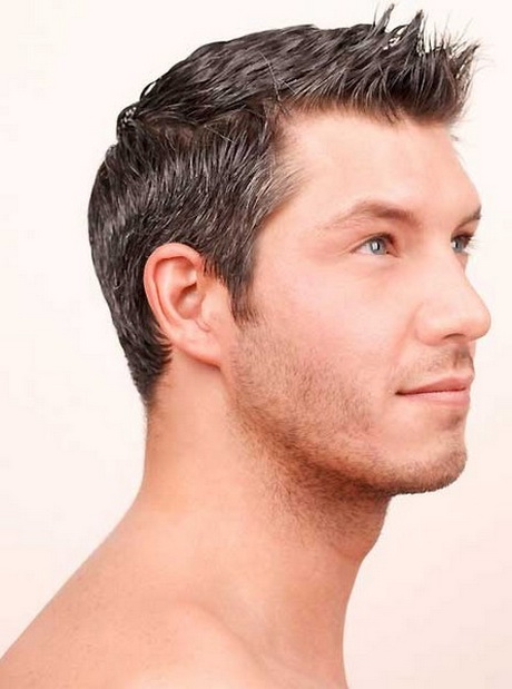 Coiffure masculine coiffure-masculine-27-11 