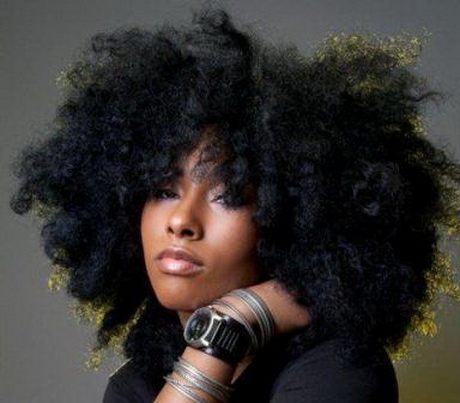 Cheveux afro cheveux-afro-64 