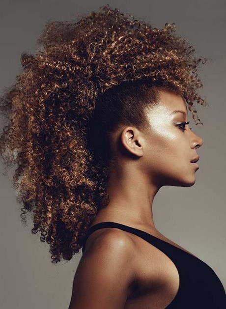Coiffure afro naturel femme coiffure-afro-naturel-femme-87_16 