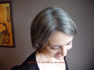 Garder ses cheveux blancs à 40 ans garder-ses-cheveux-blancs-40-ans-30_12 