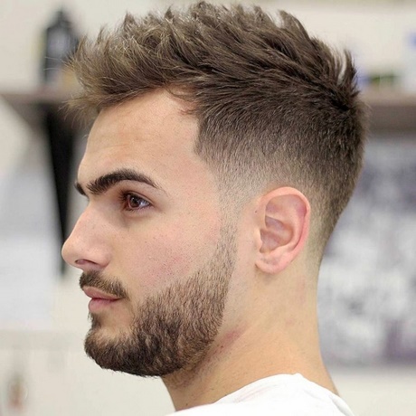 Cheveux court homme dégradé cheveux-court-homme-dgrad-80_13 