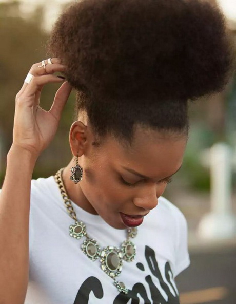 Idée coiffure afro ide-coiffure-afro-20_13 