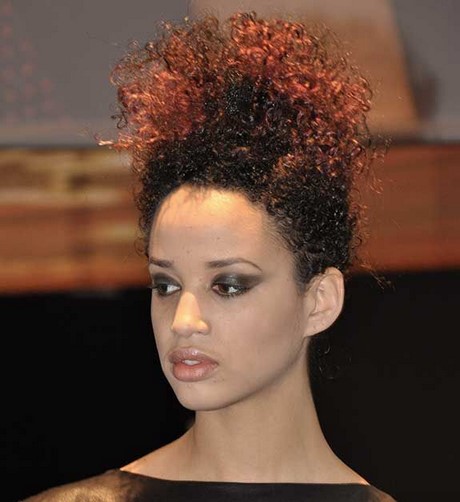 Coiffure afro naturel femme coiffure-afro-naturel-femme-87_12 