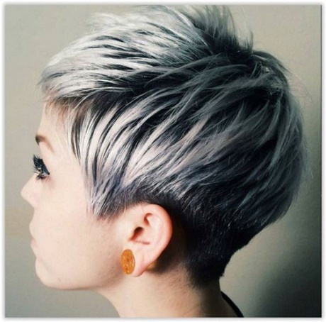 Cheveux court gris cheveux-court-gris-80_6 
