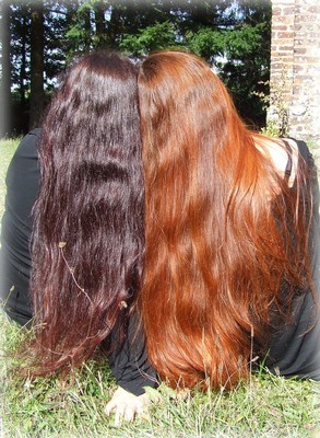 Long cheveux naturel long-cheveux-naturel-36_5 