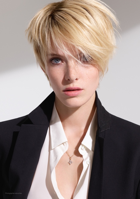 Coupe courte femme chatain clair coupe-courte-femme-chatain-clair-33_8 