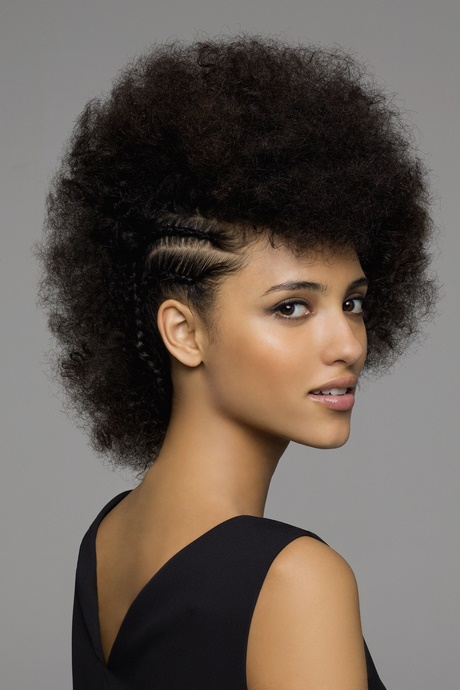 Modele coiffure meche africaine modele-coiffure-meche-africaine-78_17 