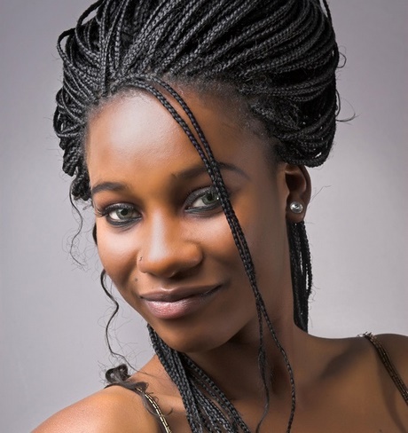 Cheveux afro tresse cheveux-afro-tresse-31_2 