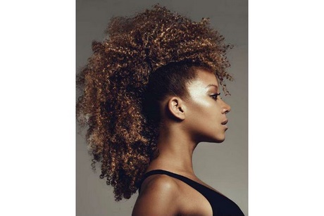 Coiffure africaine afro coiffure-africaine-afro-25 