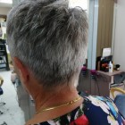 Couleur cheveux gris femme coupe courte